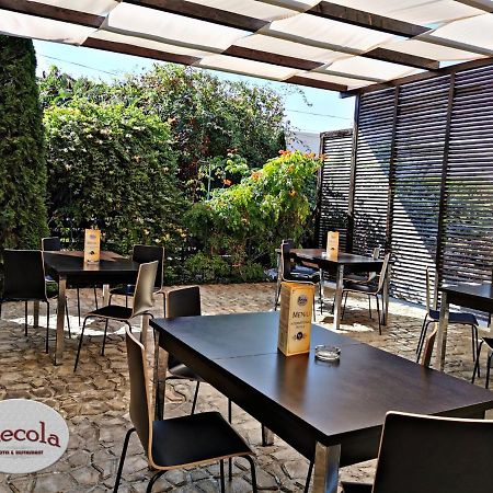 International Recola Motel Băneşti Kültér fotó